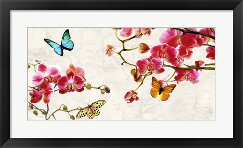 Framed Orchids &amp; Butterflies Print