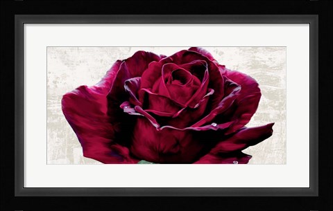 Framed Purple Dame Print