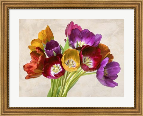 Framed Tulipani Danzanti Print