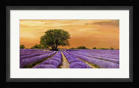 Framed Campo al Tramonto Print