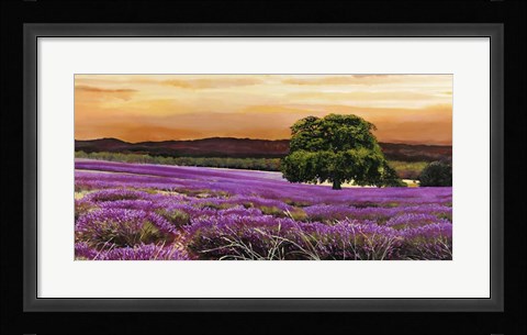 Framed Campo di Lavanda Print