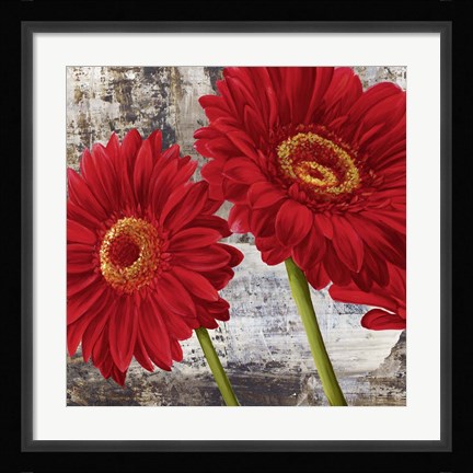 Framed Red Gerberas I Print