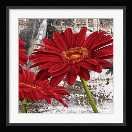 Framed Red Gerberas II Print
