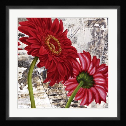 Framed Red Gerberas III Print