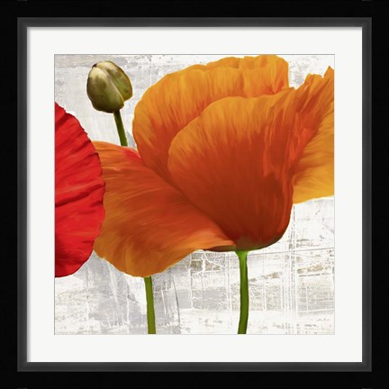 Framed Summer Poppies II Print