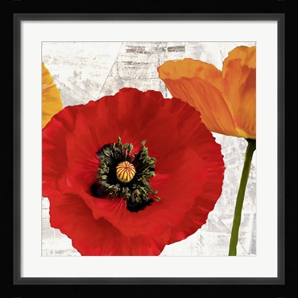 Framed Summer Poppies III Print