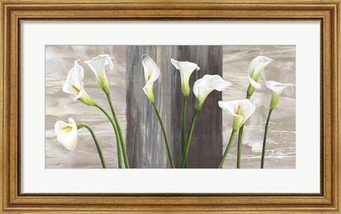 Framed Country Callas Print