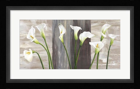 Framed Country Callas Print