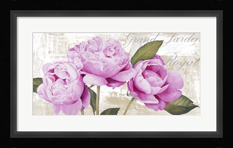 Framed Grand Jardin Royal Print