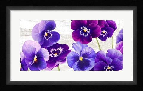 Framed Dance of Pansies Print