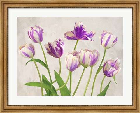 Framed Tulipes Print