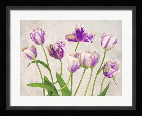 Framed Tulipes Print