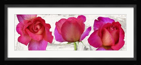 Framed Spring Roses Print