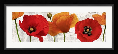 Framed Summer Poppies Print