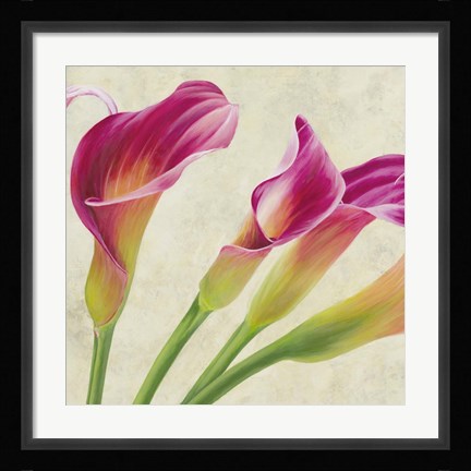 Framed Calla Parade (Detail) Print