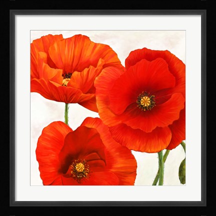Framed Poppies I Print
