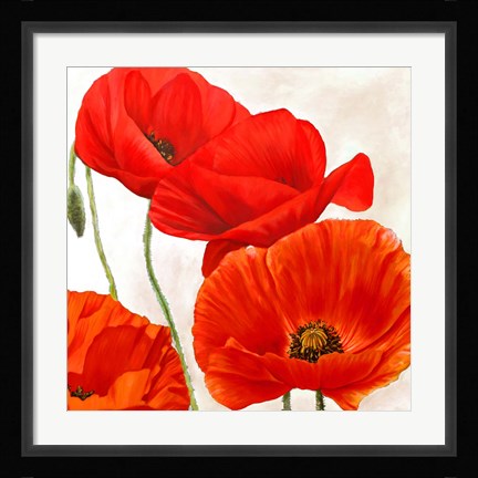 Framed Poppies II Print