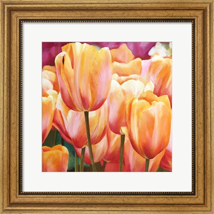 Framed Spring Tulips I Print