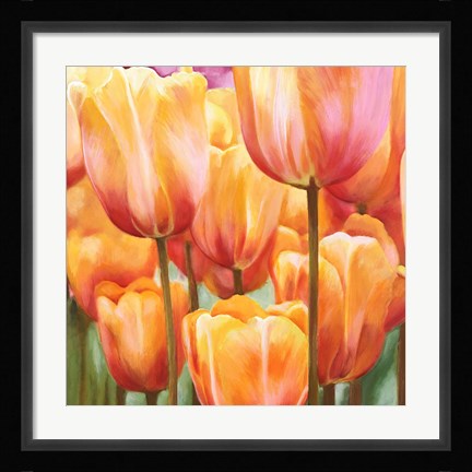 Framed Spring Tulips II Print