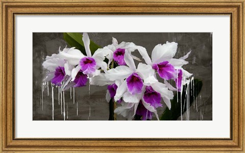 Framed Orchid Blackboard Print