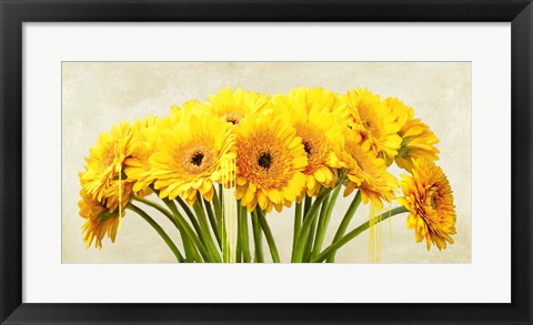 Framed Gerbera Abstraction Print