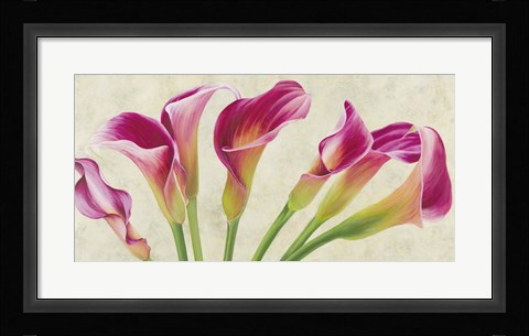 Framed Calla Parade Print