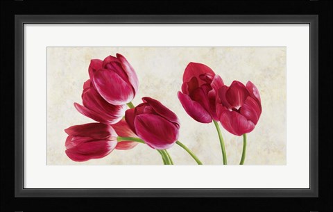 Framed Tulip Concerto Print