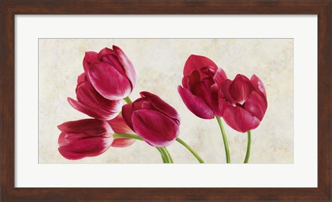 Framed Tulip Concerto Print