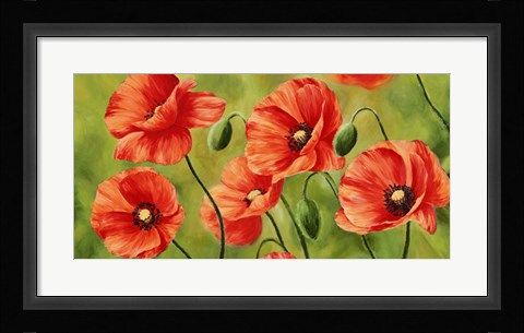 Framed Field of Poppies Print