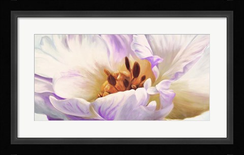 Framed Tulipe Print