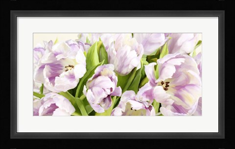 Framed Tulipes en Fleur Print