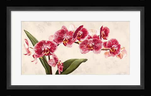 Framed Purple Queens Print