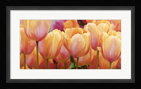 Framed Summer Tulips Print