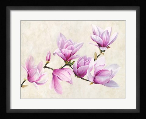 Framed Ramo di Magnolia Print