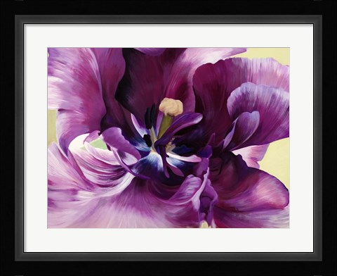 Framed Purple Tulip Close-up Print
