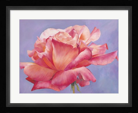 Framed Velluto Print