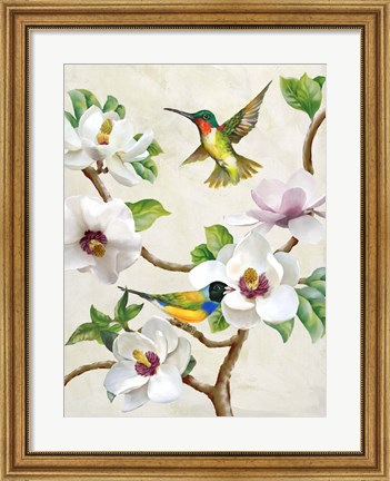 Framed Magnolia and Birds Print