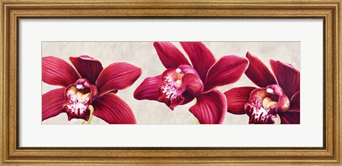 Framed Eleganti Orchidee Print
