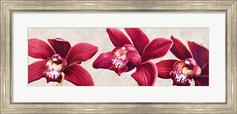 Framed Eleganti Orchidee Print