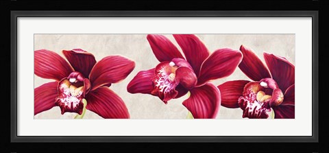 Framed Eleganti Orchidee Print