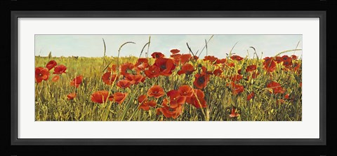 Framed Poppy Field Print
