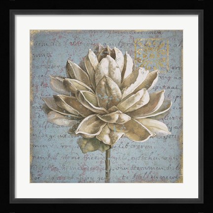 Framed Seed Pod I Print