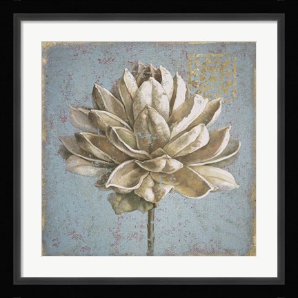 Framed Seed Pod I no Words Print