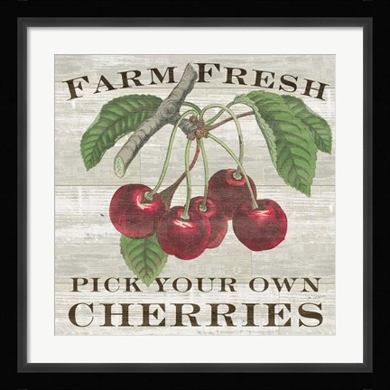 Framed Farm Fresh Cherries I Print