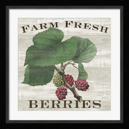 Framed Farm Fresh Berries I Print