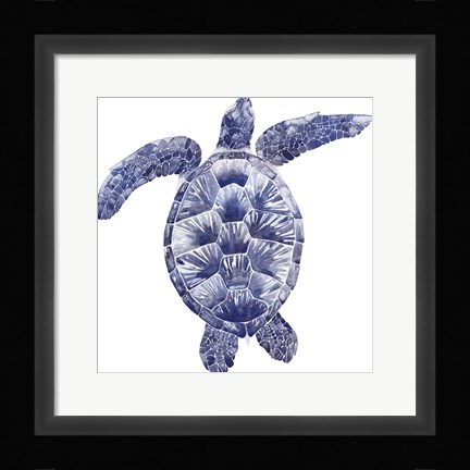 Framed Marine Turtle II Print