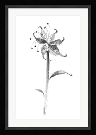 Framed Ink Tiger Lily Print