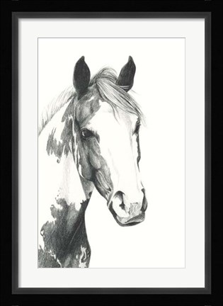 Framed American Paint I Print