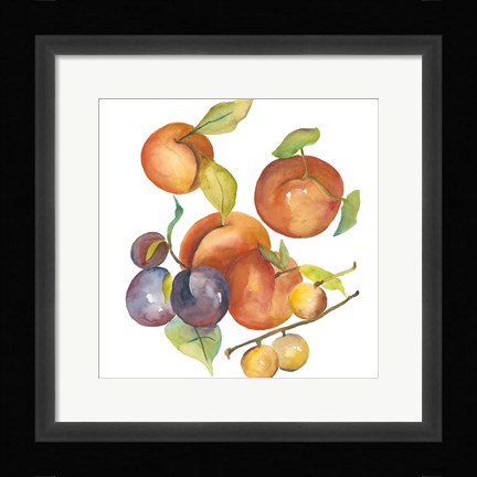 Framed Harvest Medley I Print