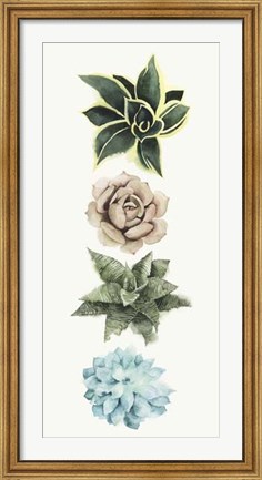 Framed Row of Succulents I Print